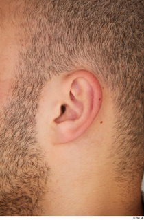 Street  868 ear 0001.jpg